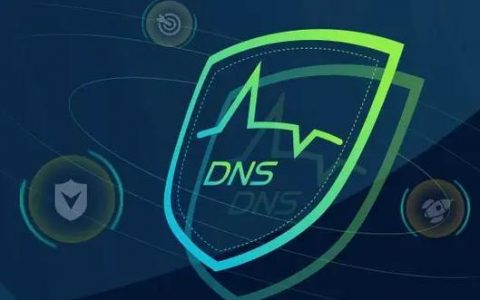 如何实现DNS高级防御策略以增强网络安全？