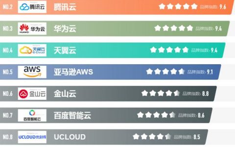 哪个服务器供应商在最新排行榜中名列榜首？