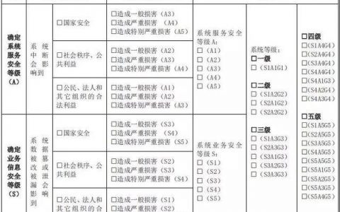 如何有效执行等保评审细则中的评审过程？