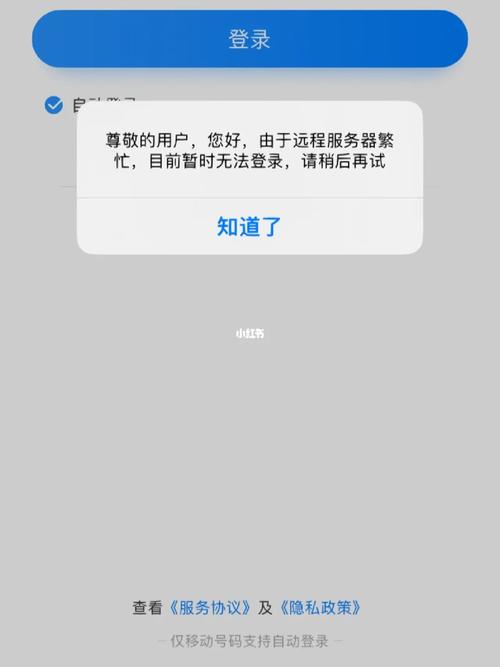 网络服务器繁忙什么意思呀