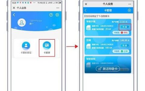 如何为服务器主机接入互联网并充值物联网卡？