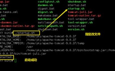 为何阿里云服务器偏爱Linux操作系统?