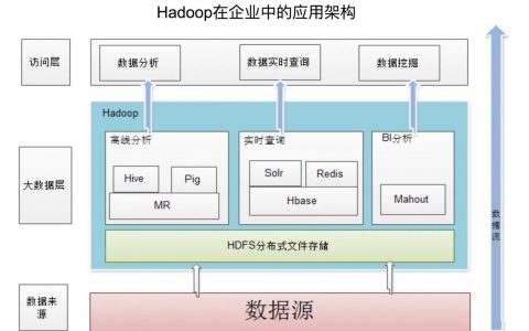 如何成功搭建EMQX集群环境以优化大数据处理？