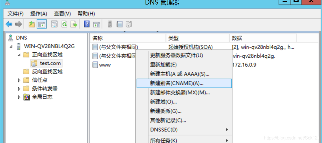 服务器配置dns name_配置DNS