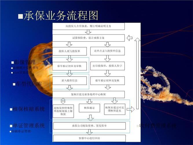 等保资质承接业务_业务流程