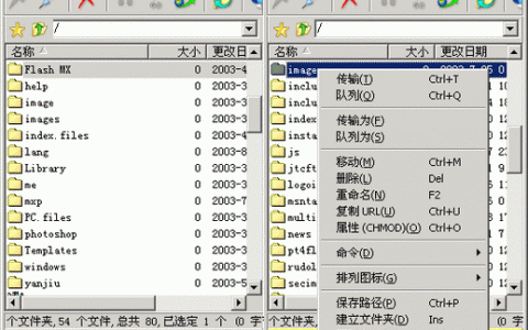 如何使用Flash代码创建网站的详细步骤?