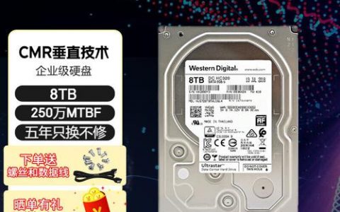 如何有效扩容大硬盘服务器的存储容量?