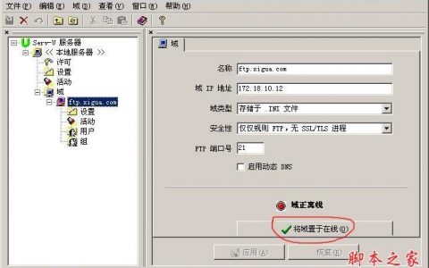 如何成功架设并有效使用FTP服务器？