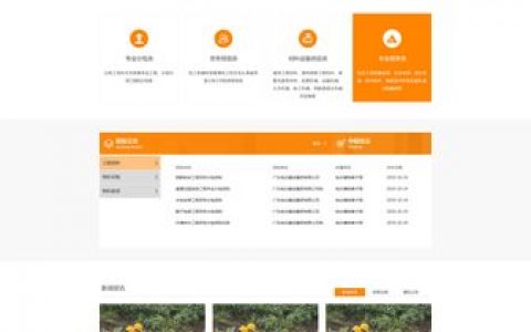 如何打造一个专业的番禺网站建设设计器实例？