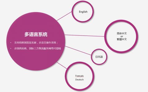 如何有效进行多语言开发与管理以提升项目成功率？