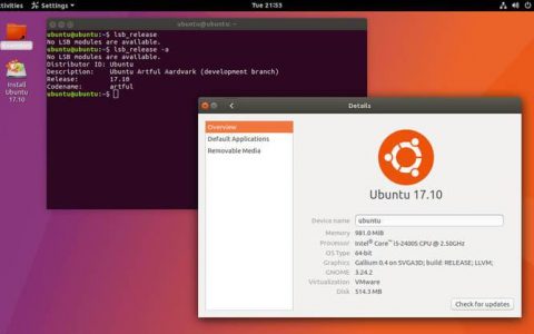 选择服务器的Linux版本，关键因素有哪些？