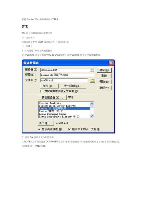 domino 服务器配置_服务器配置
