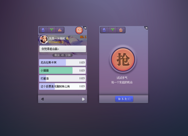 flash网站设计作品_投票
