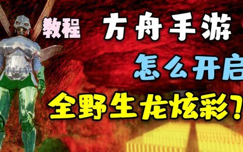 方舟炫彩服务器究竟指的是什么？