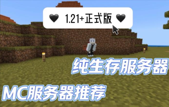 我的世界外服挂什么服务器好