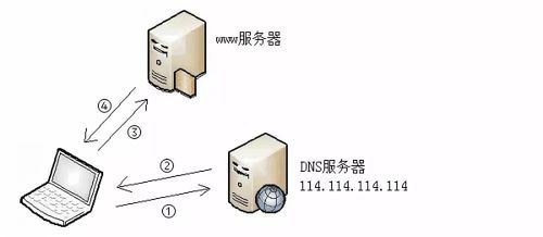 为什么偏门的网站都用国外服务器