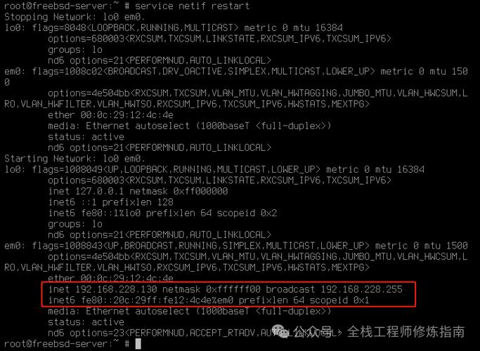 FreeBSD主机配置_代理主机配置