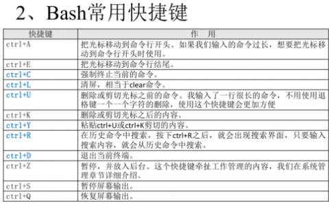 如何定期执行Shell脚本以自动化任务管理？