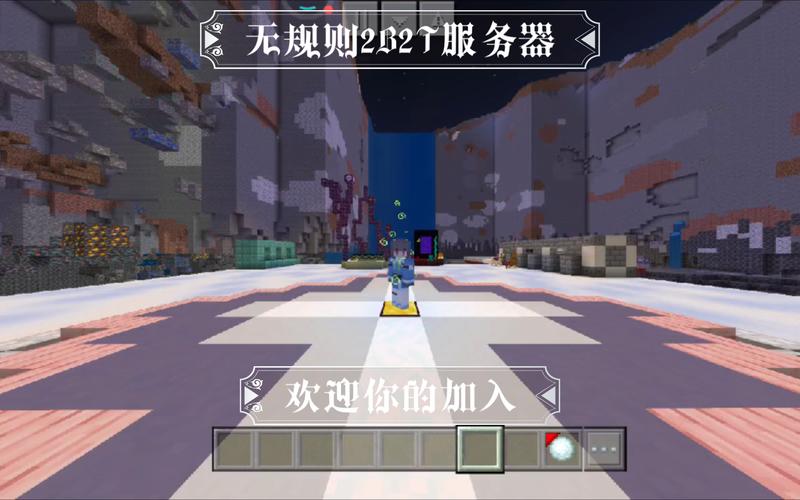 2b2t用的什么服务器