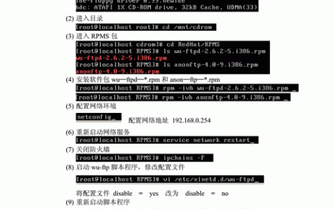 如何平衡服务器格式与存储格式的兼容性和效能？