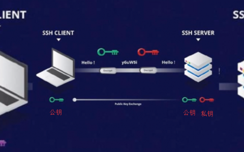 服务器密钥对在网络安全中扮演什么角色？
