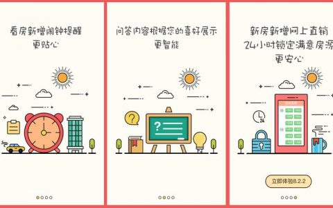 如何设计一个高效的Flash网站引导页以提升用户体验？