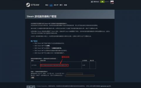 外国人开设的服务器游戏通常如何命名？