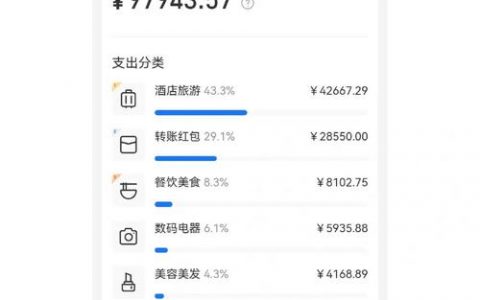 如何追踪并查询过去一年的服务器租用费用？