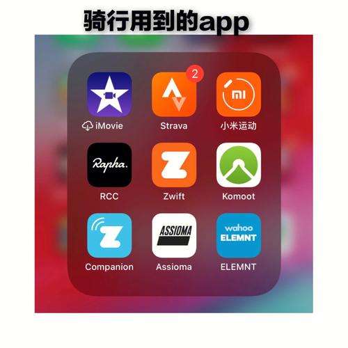 迅驰骑行app服务器错误是什么意思