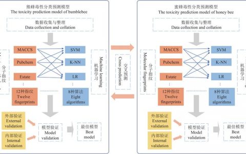 如何运用机器学习技术优化大气科学研究？