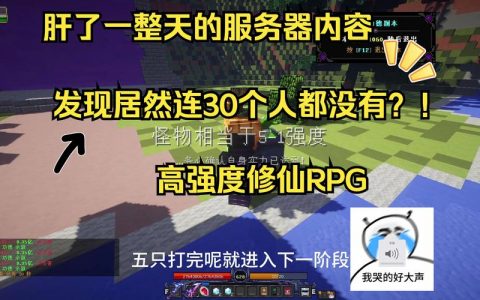 开设我的世界服务器时，哪些功能和元素最能吸引玩家？