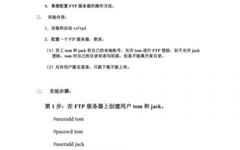 构建高效FTP服务器，硬件配置要求有哪些关键考量？