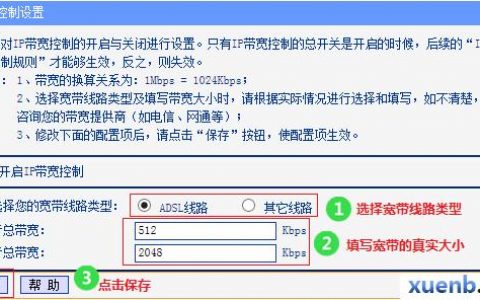 服务器20m带宽的实际性能影响是什么？