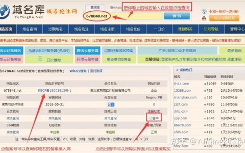 如何在域名到期后成功抢注它？