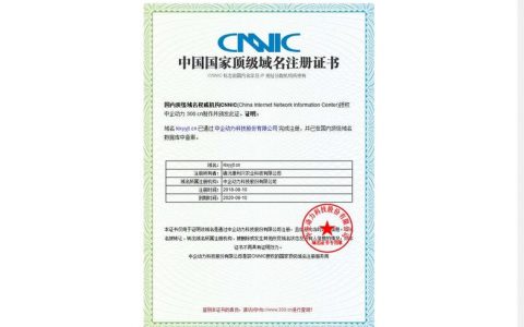 大型域名注册商在提供域名注册服务时有哪些独特优势？
