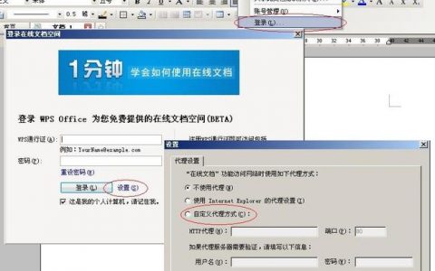 WPS中代理服务器设置的作用是什么？