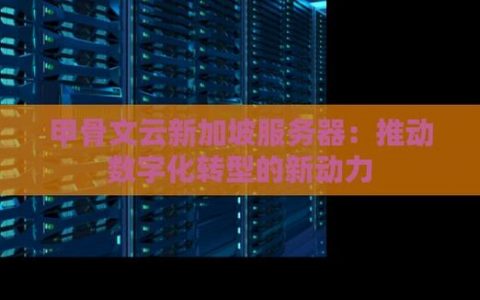 甲骨文云服务器的功能与应用场景有哪些？