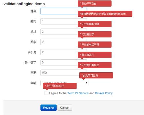 form表单验证 _代码参数化插件