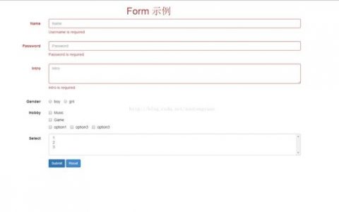 如何通过代码参数化插件提升form表单验证的效率和准确性？
