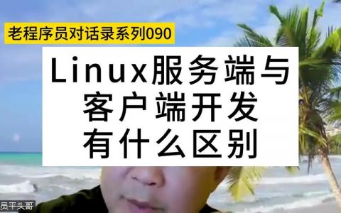 如何平衡服务器与客户端开发以确保应用性能和用户体验？