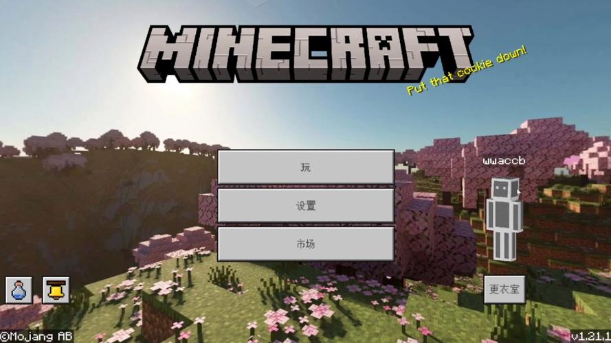 我的世界国际服有什么服务器ip