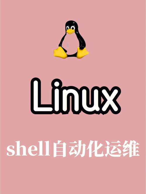 做服务器端为什么要会shell