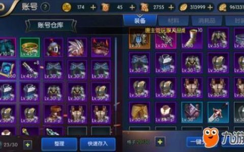 阿拉德之怒服务器的功能和作用是什么？