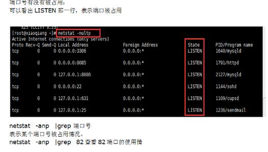 端口查看服务_查看风险端口