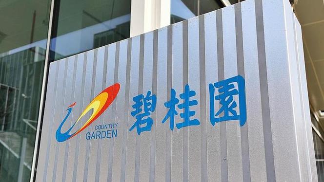 佛山工商登记_不同后缀类型域名的续费宽限期和赎回期是多久？