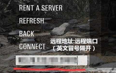 为何人渣进入服务器后地图显示为白色？