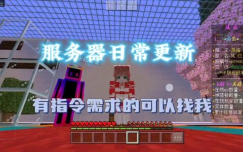 何时是进行服务器更新的最佳时机？