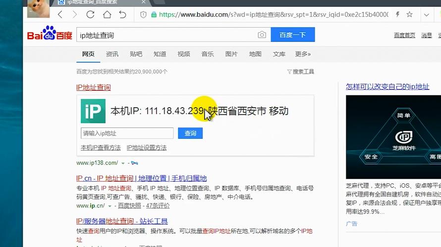 服务器的公网ip的申请_我的申请