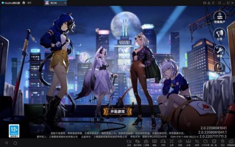 探索猫之城，是否存在服务器设施？