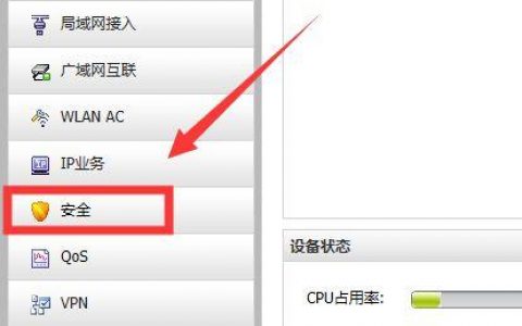 什么是通过IP地址访问的服务器？
